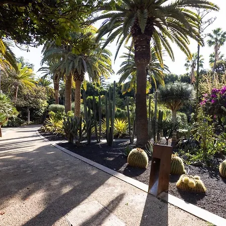 Apartment Home2book Stylish Flat In Cruz Santa Cruz de Tenerife