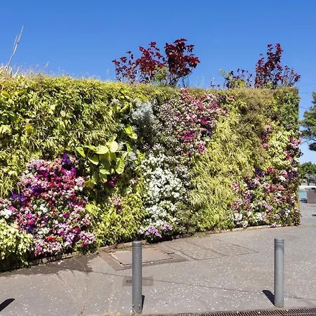 Home2book Stylish Flat In Cruz Lejlighed *