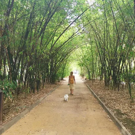 Lejlighed Home2book Stylish Flat In Cruz Santa Cruz de Tenerife